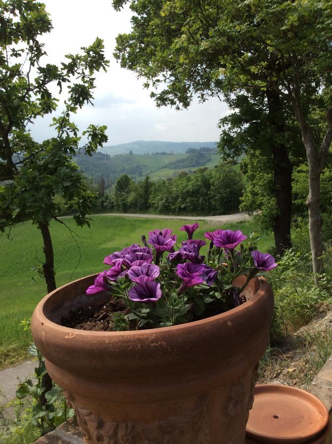 Agriturismo Ca Lunati Ξενοδοχείο Castelletto Mendosio Εξωτερικό φωτογραφία